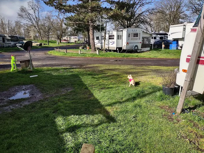 Salem Campground & RV Park Picture 9