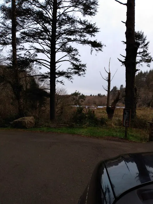 Beacon Charters & RV Park Picture 10