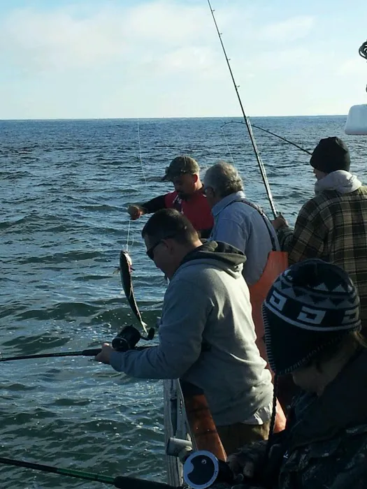 Beacon Charters & RV Park Picture 6