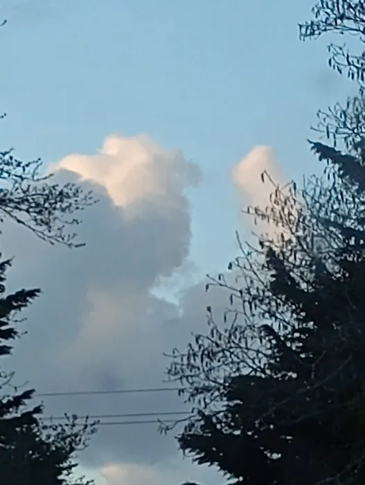 Beacon Charters & RV Park Picture 4