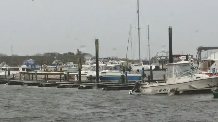 Beacon Charters & RV Park Picture 7