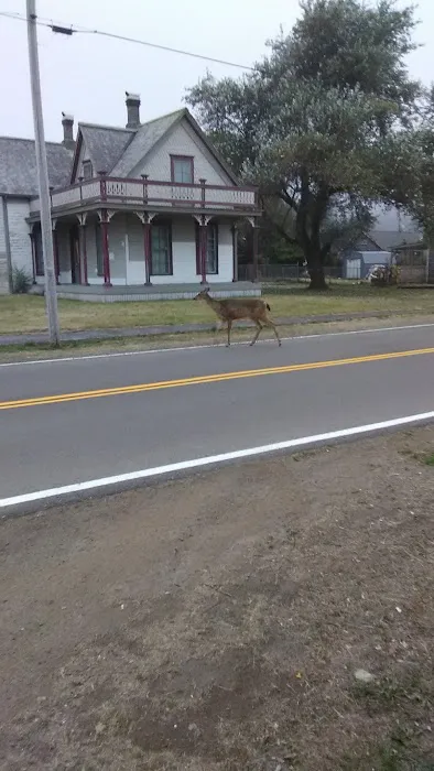 Beacon Charters & RV Park Picture 2