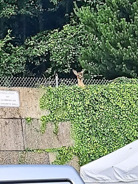 Fisherman's Cove RV Park Picture 2