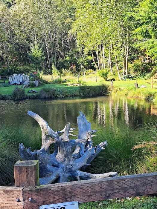 Fisherman's Cove RV Park Picture 8