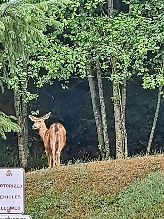 Fisherman's Cove RV Park Picture 4