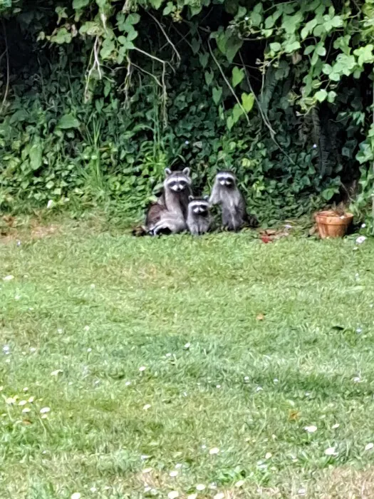 Fisherman's Cove RV Park Picture 3