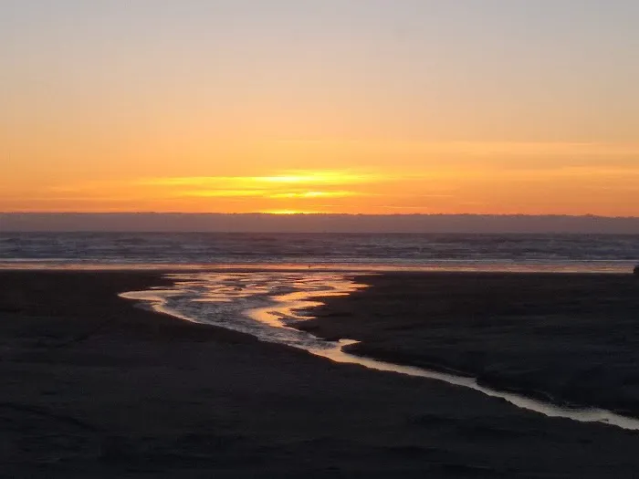 Safari Association of Ilwaco Picture 6