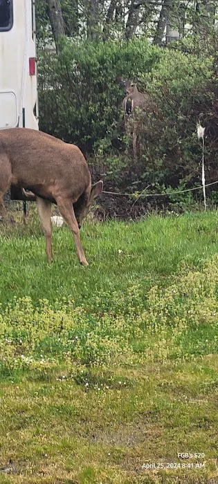 Safari Association of Ilwaco Picture 1