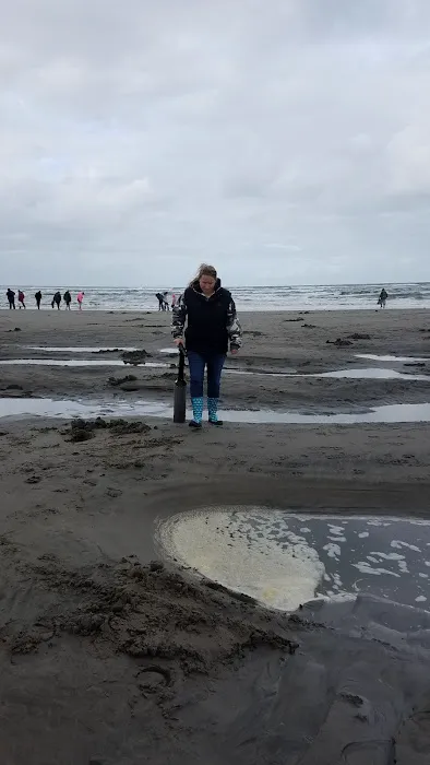 Oceanic Rv Park Picture 4