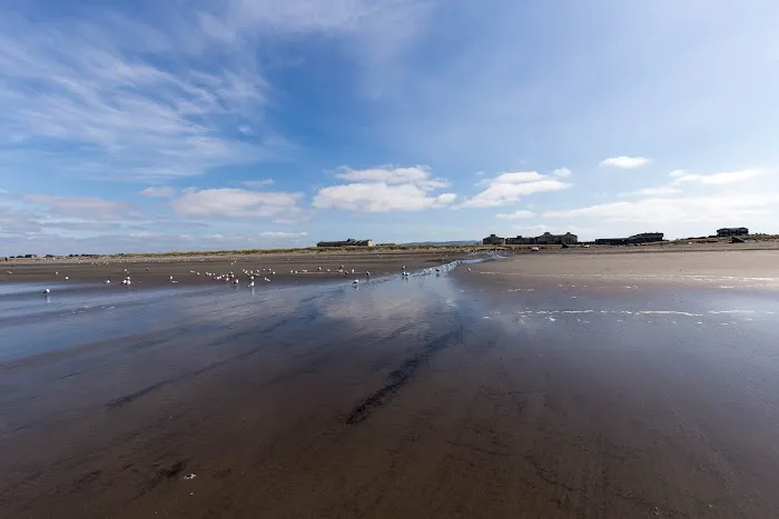 Sandcastle RV Park Picture 8