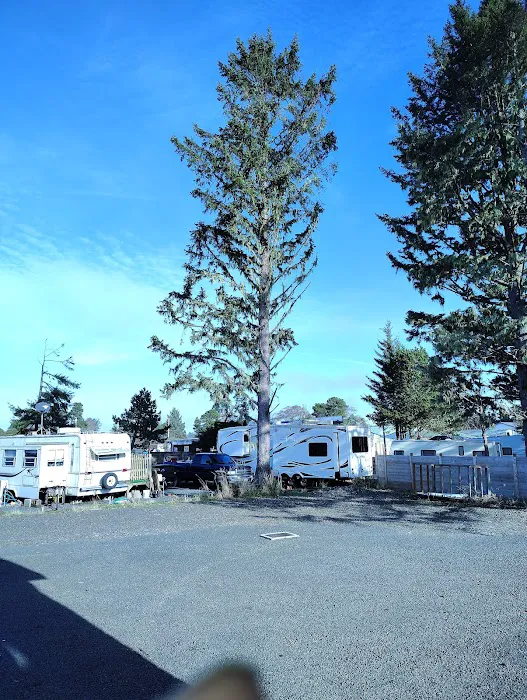 Rosemont Terrace RV Park Picture 2