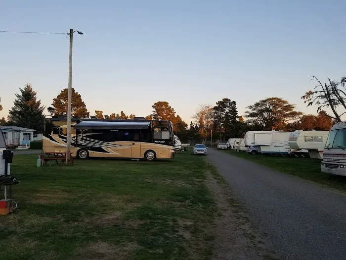 Driftwood RV Park Picture 5