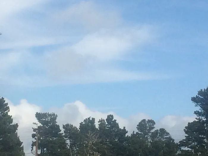 Driftwood RV Park Picture 1