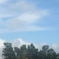 Driftwood RV Park ico