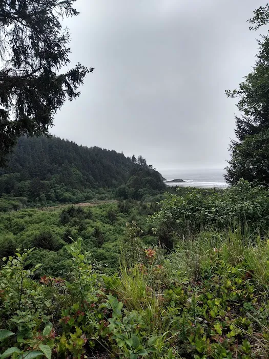 Driftwood RV Park Picture 10