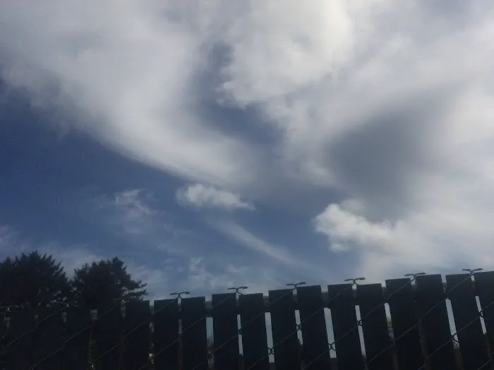 Driftwood RV Park Picture 4