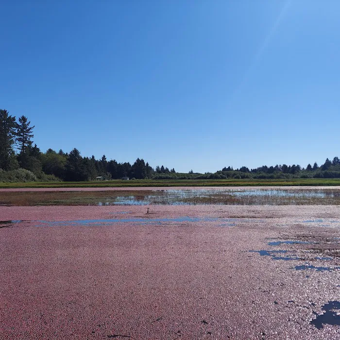 Cranberry Community LLC & RV Park Picture 10