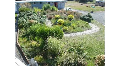 Andersens Oceanside RV Park & Cottages Picture 2