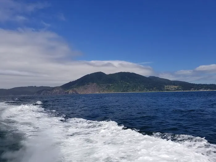 Nehalem Bay Trailer Park Picture 10