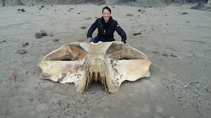 Nehalem Bay Trailer Park Picture 5