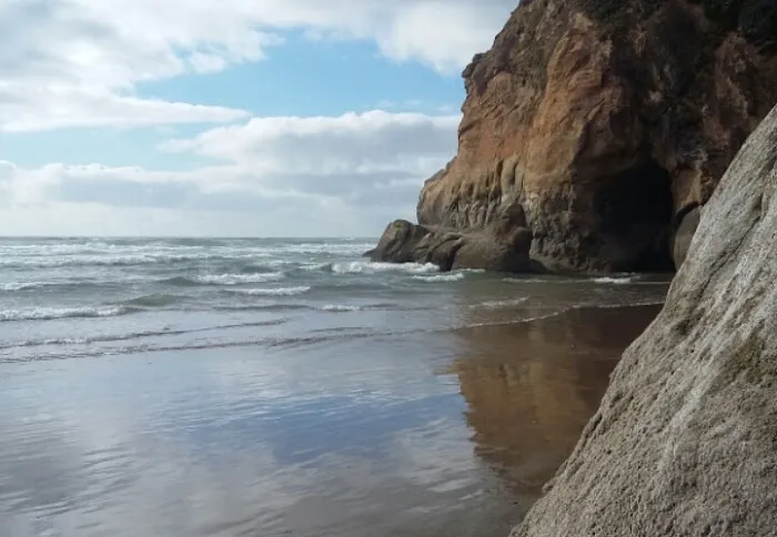 Nehalem Bay Trailer Park Picture 8