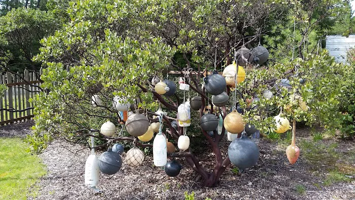 Nehalem Bay Trailer Park Picture 2