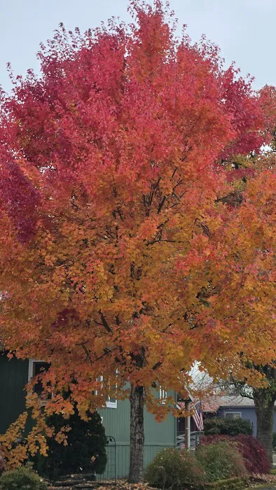 Quail Run Mobile Estates Picture 1