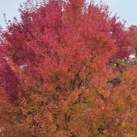 Quail Run Mobile Estates ico