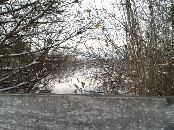 Quail Run Mobile Estates Picture 7