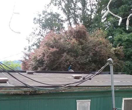 Country Mobile Estates