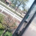 Evergreen Mobile Home Park