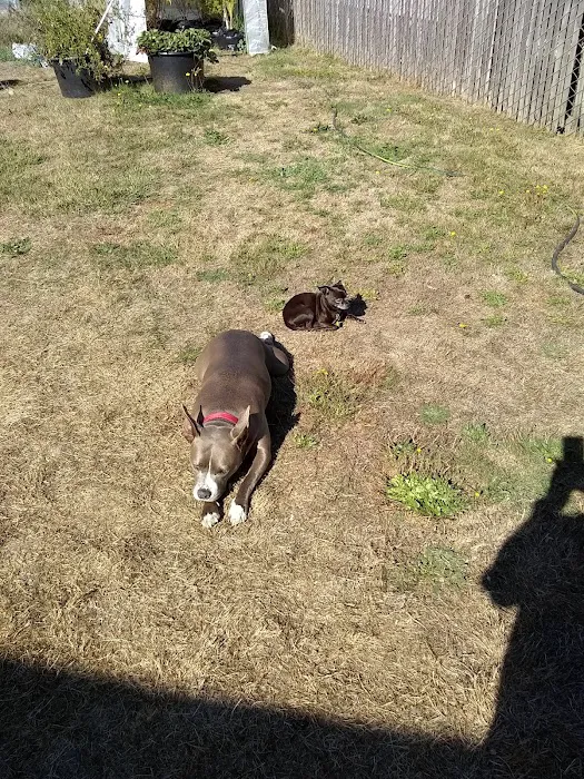 Squires Estates Picture 4