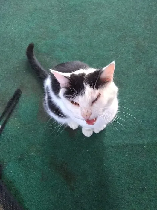 Squires Estates Picture 6