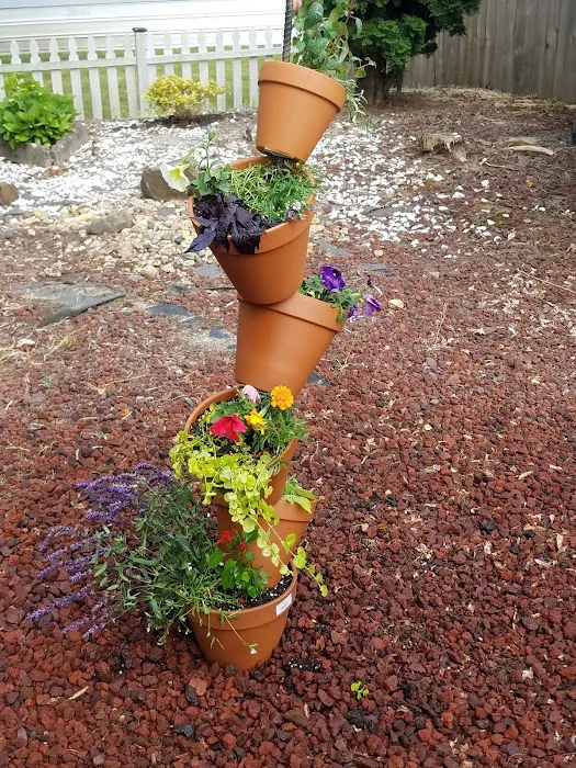 Squires Estates Picture 10