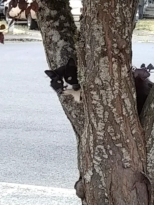 Squires Estates Picture 1