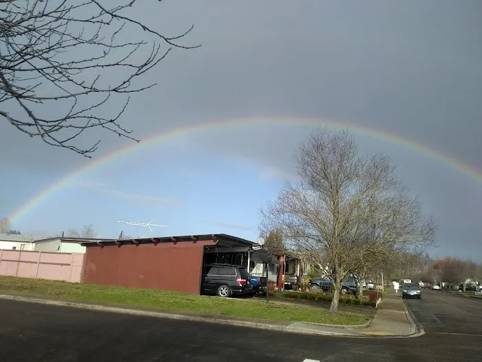 Squires Estates Picture 3