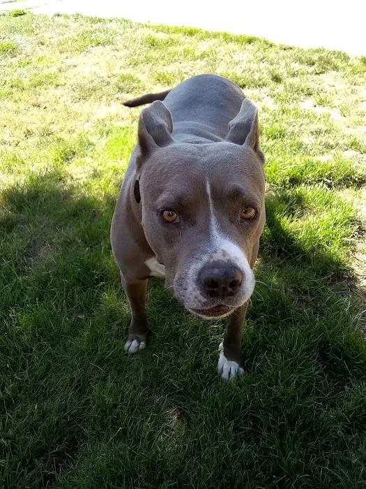 Squires Estates Picture 5