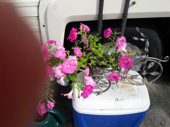 Harrison RV/Mobile Home Park Picture 4