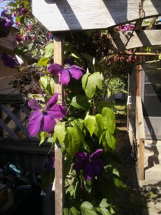 Harrison RV/Mobile Home Park Picture 3