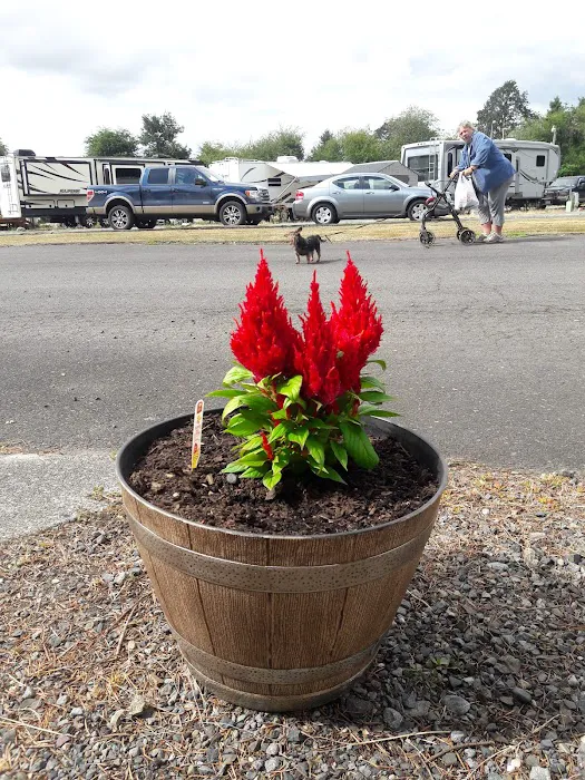 Harrison RV/Mobile Home Park Picture 6