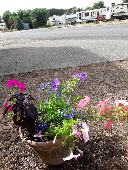 Harrison RV/Mobile Home Park Picture 8