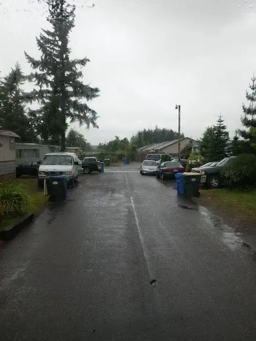 Prairie Pines LLC Picture 2