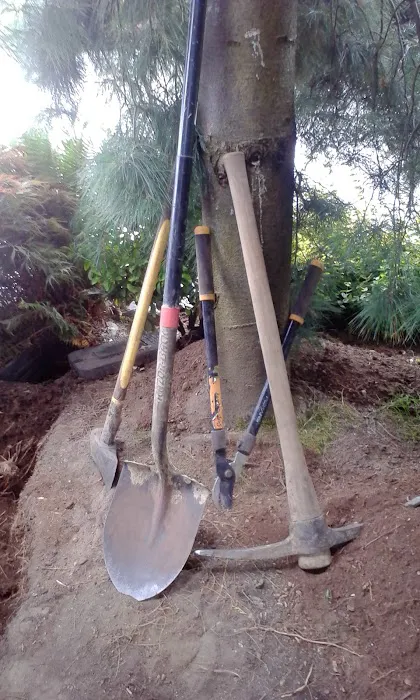 Prairie Pines LLC Picture 4