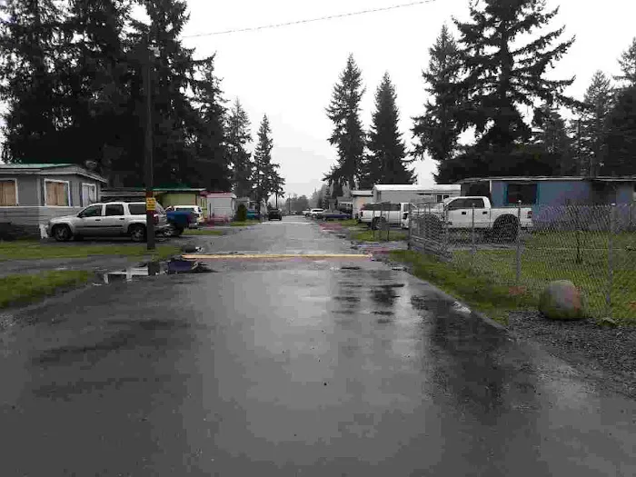 Prairie Pines LLC Picture 3