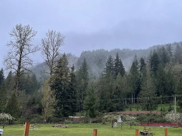 McSquizzy's R.V. Park Picture 1