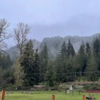 McSquizzy's R.V. Park ico