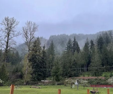 McSquizzy's R.V. Park