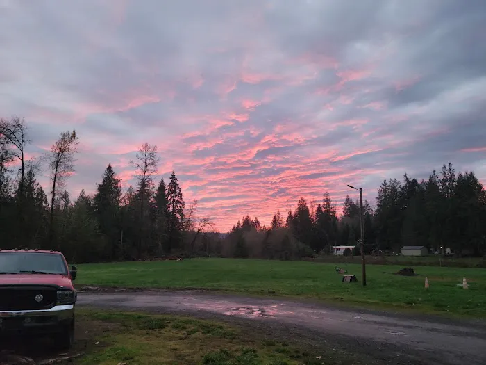 McSquizzy's R.V. Park Picture 3