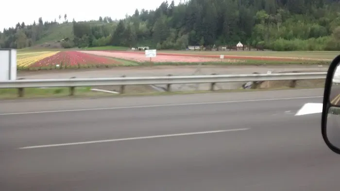 Mountain Road Park LLC & RV Park Picture 5