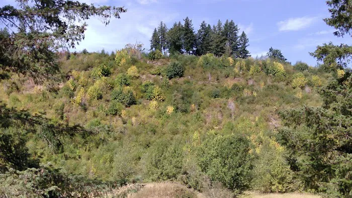 Mountain Road Park LLC & RV Park Picture 2